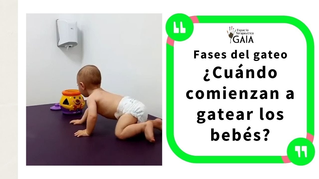 a que tiempo gatea un bebe
