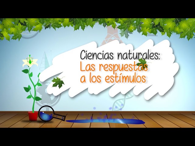 actividades de estimulo respuesta para niños