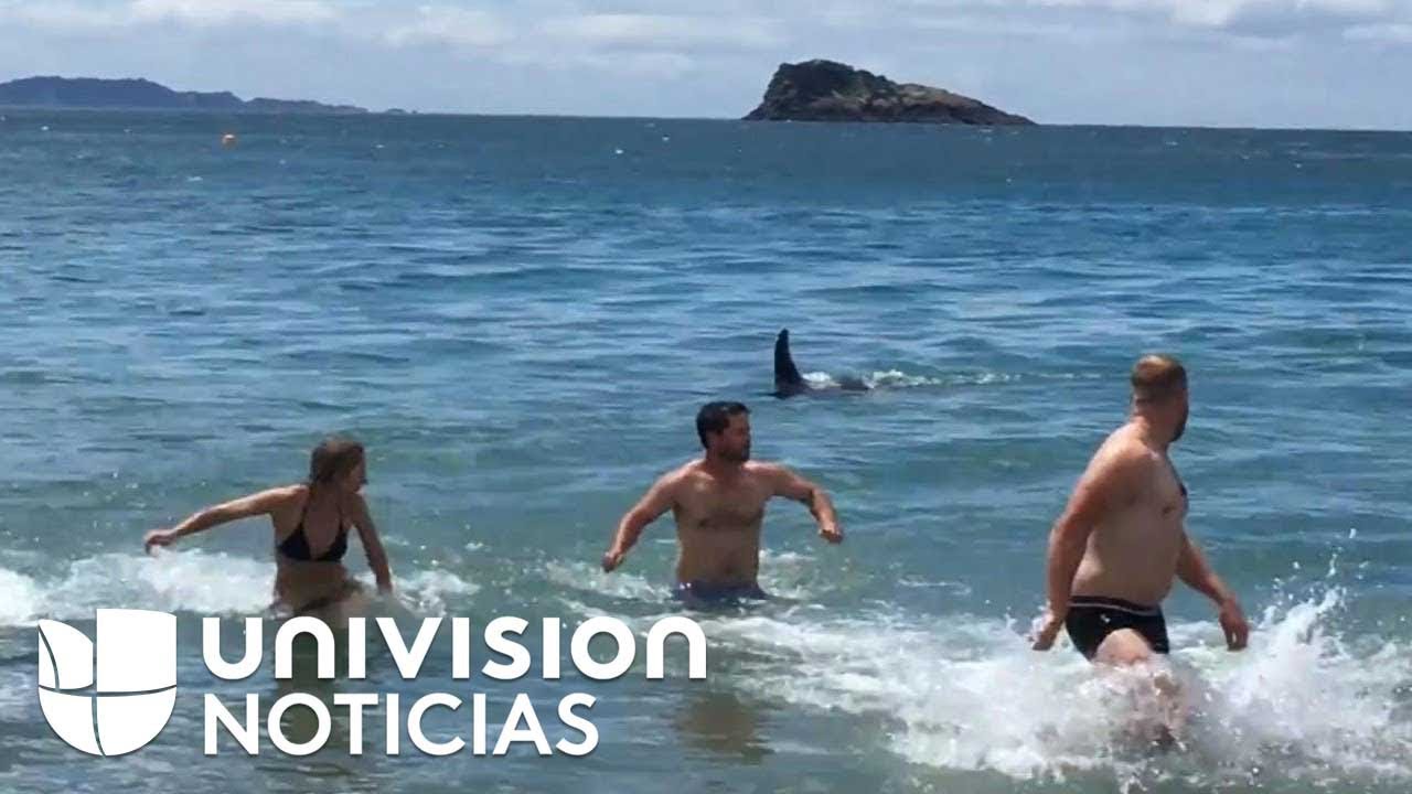 comida que se lleva a cabo en un lugar abierto