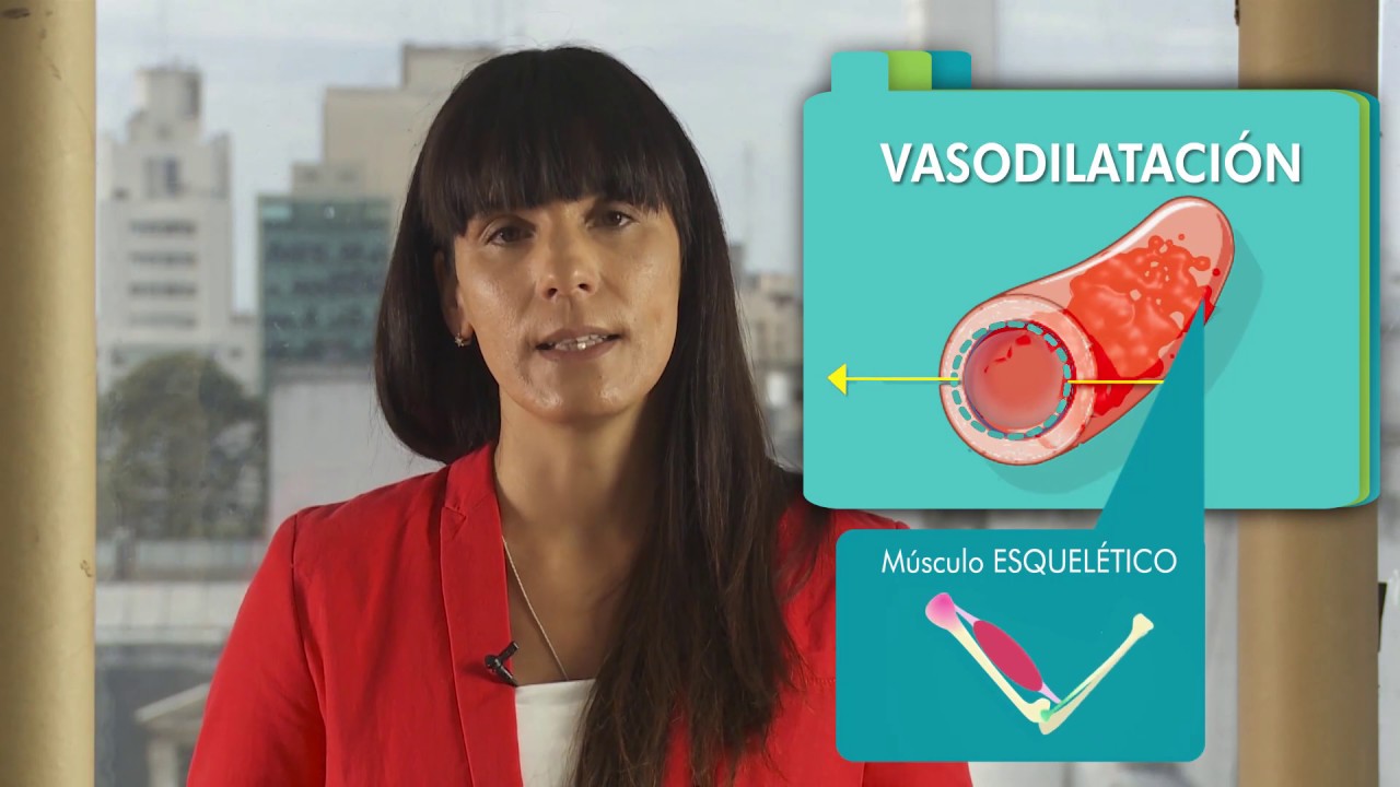 como incide la actividad fisica en el sistema reproductor