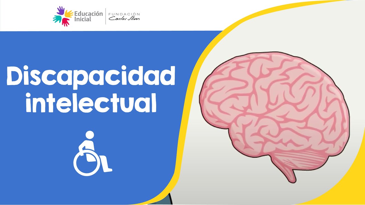 como trabajar con niños con discapacidad intelectual