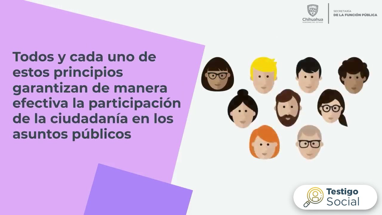 cuales son los principios de la participacion