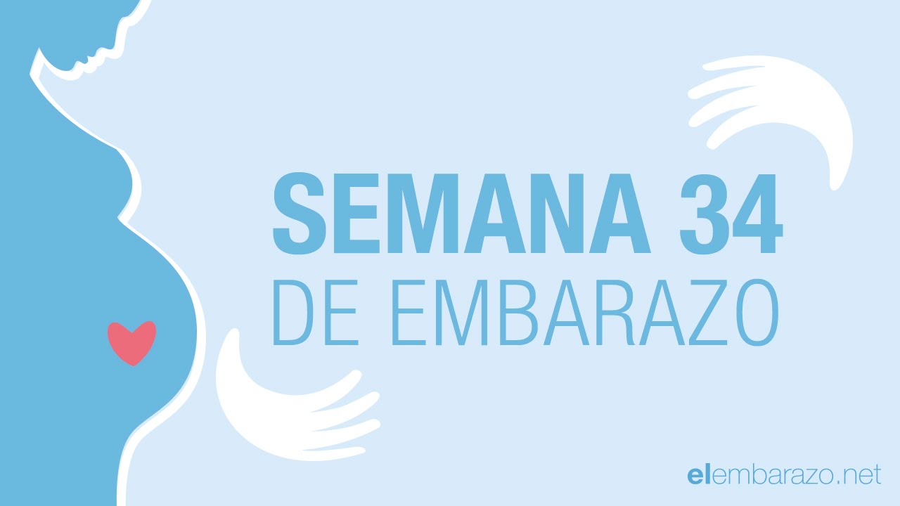 cuantos meses son 34 semanas y 6 dias
