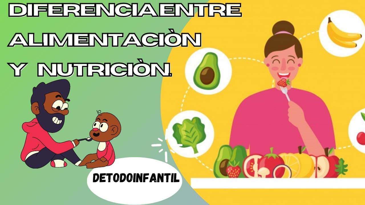 definicion de comida alimento y nutriente