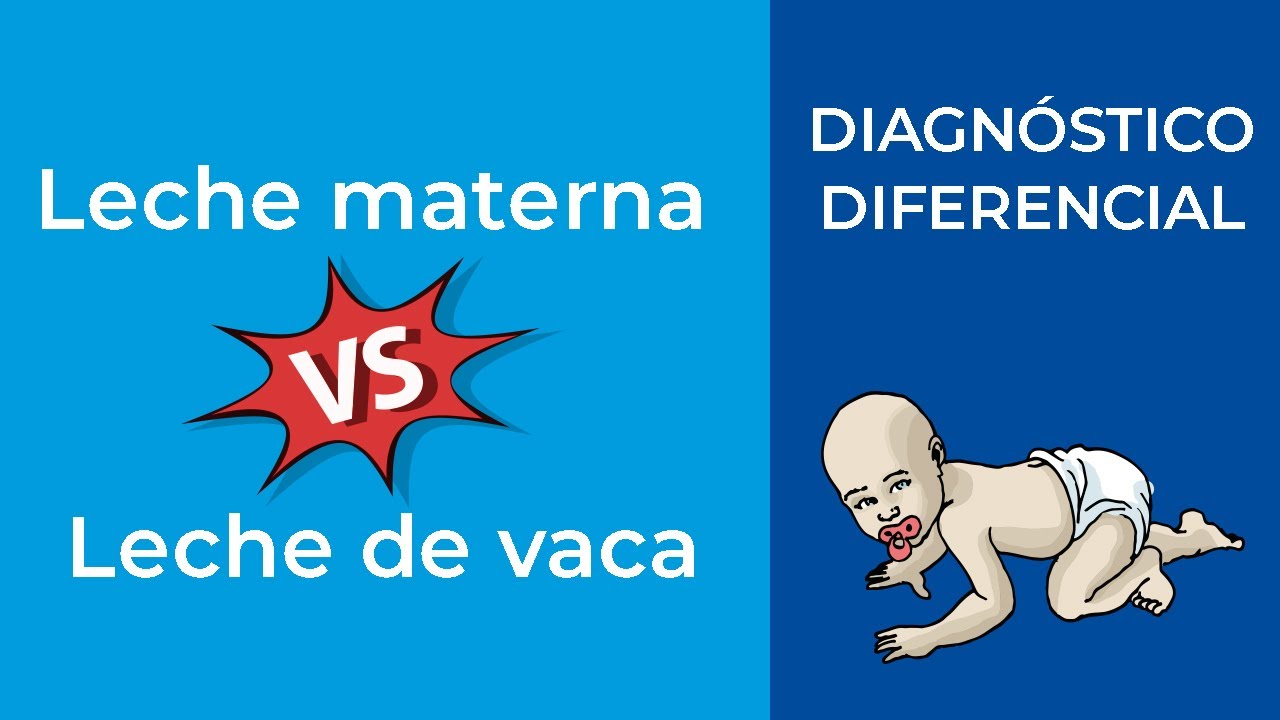 diferencia entre leche de vaca y materna