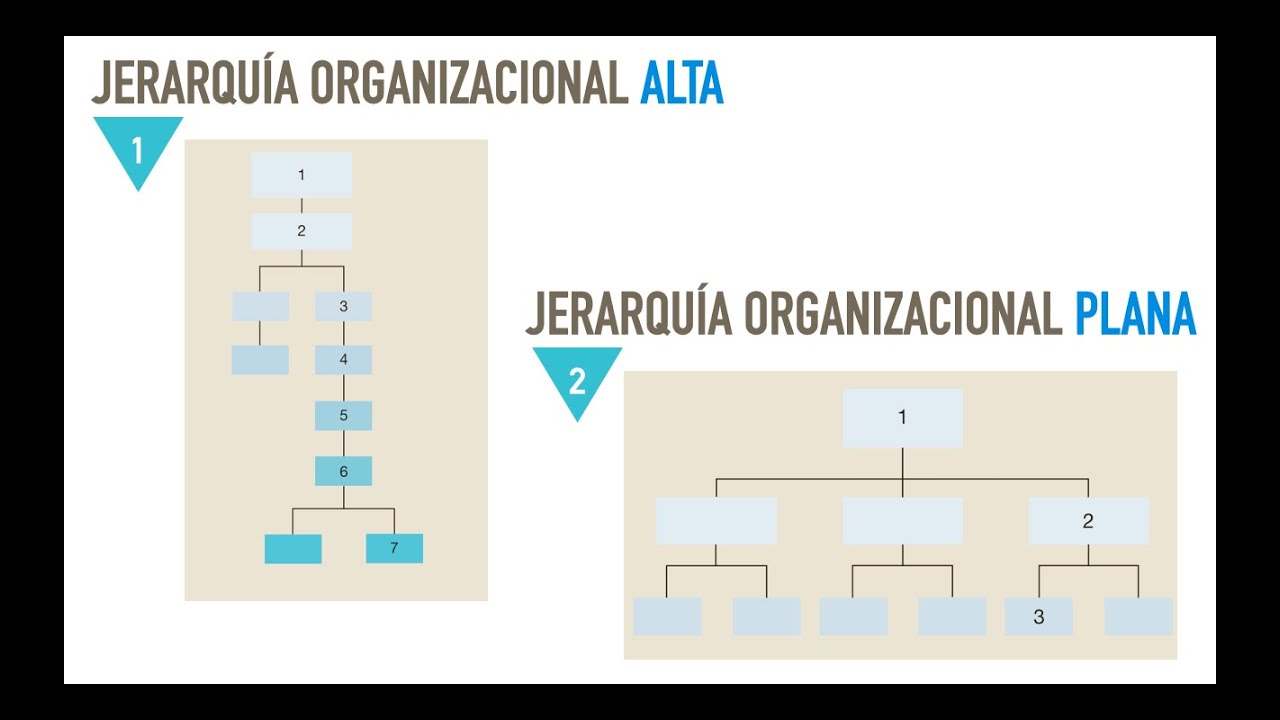diseño organizacional competencias y tecnología jones g 2008