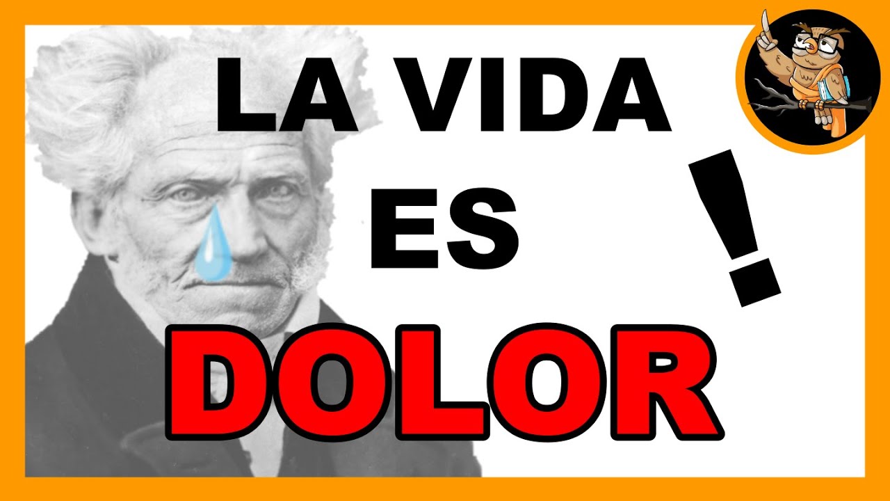 el mundo como voluntad y representación