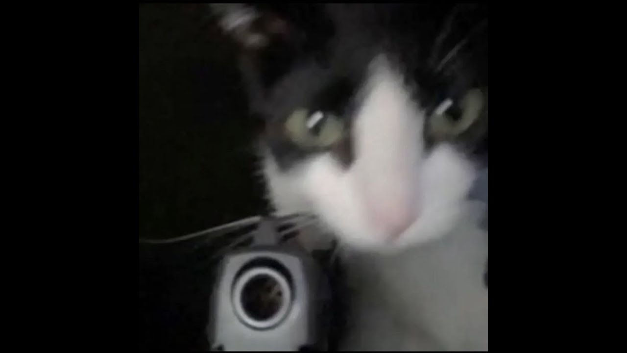 ensayo sobre la violencia contra la mujer