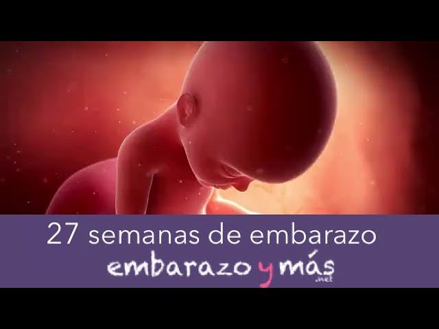 feto de 27 semanas se mueve mucho