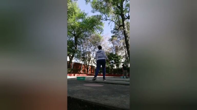 Frecuencia de Movimiento en Educación Física: Claves para Optimizar el ...