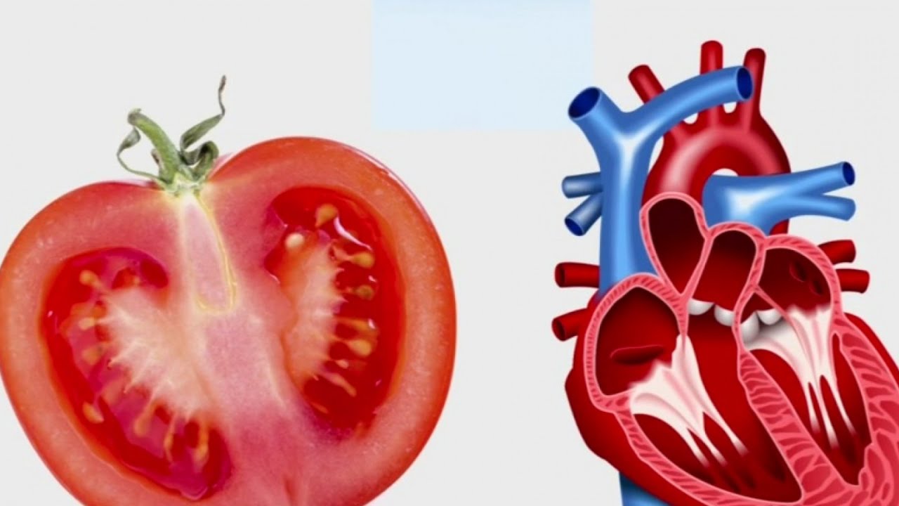 frutas y verduras con forma de organos