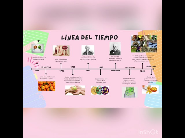 historia de la nutricion linea del tiempo