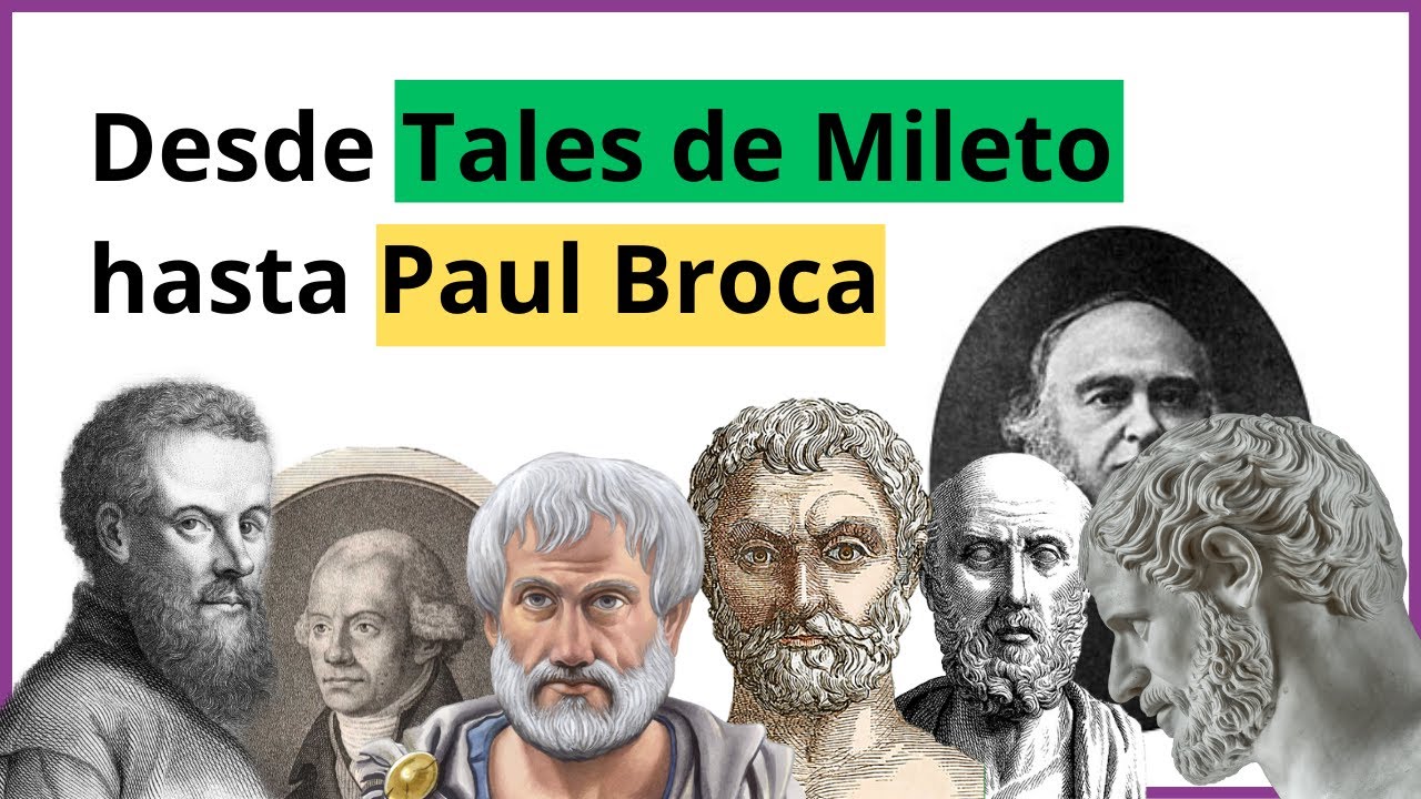 historia de las neurociencias linea del tiempo