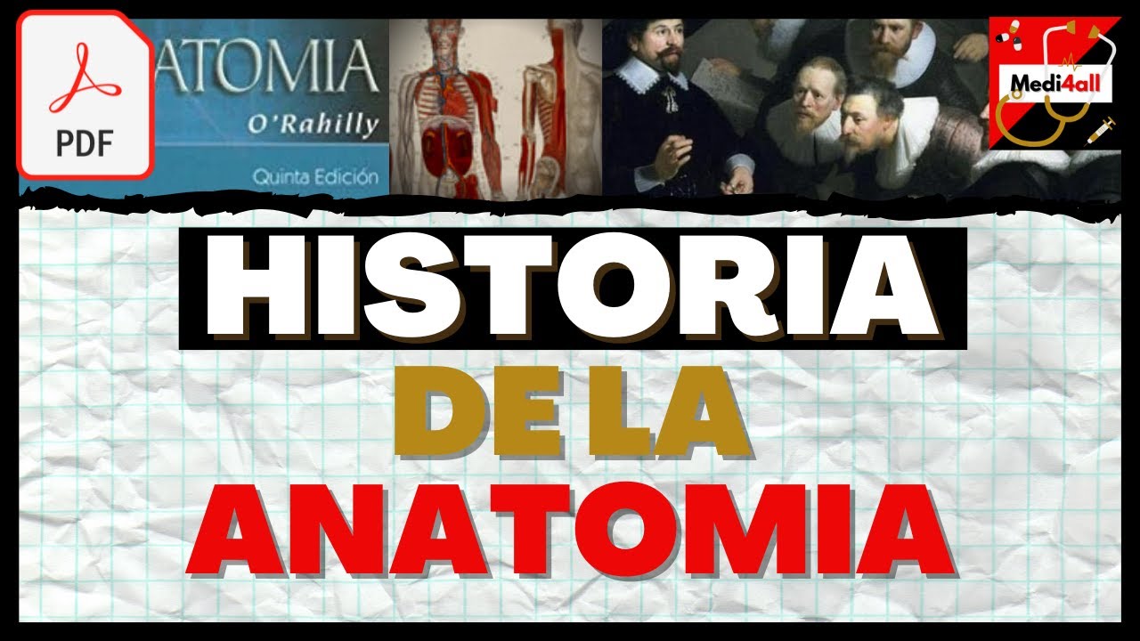 linea del tiempo de la historia de la anatomia