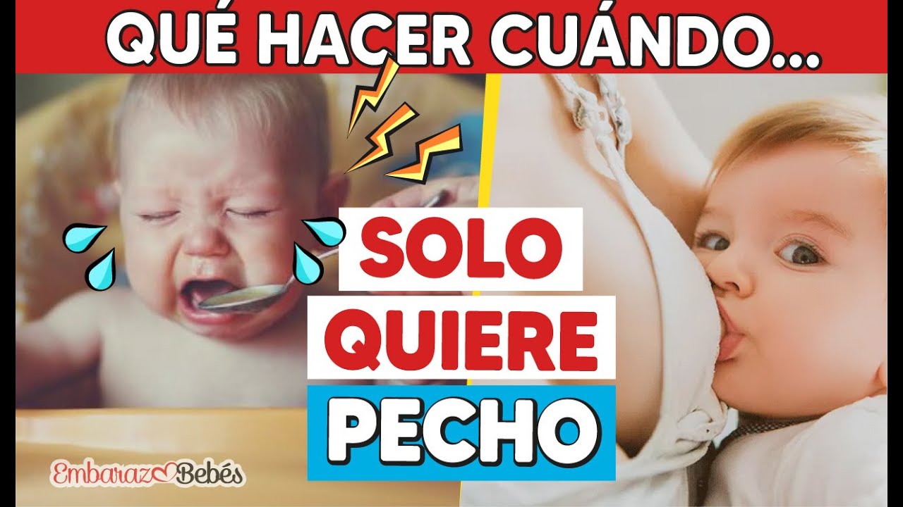 mi bebe no quiere comer solo leche