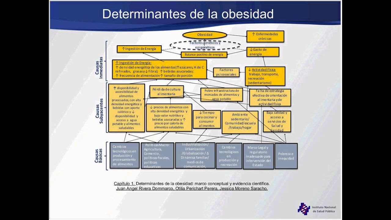 obesidad en méxico recomendaciones para una política de estado