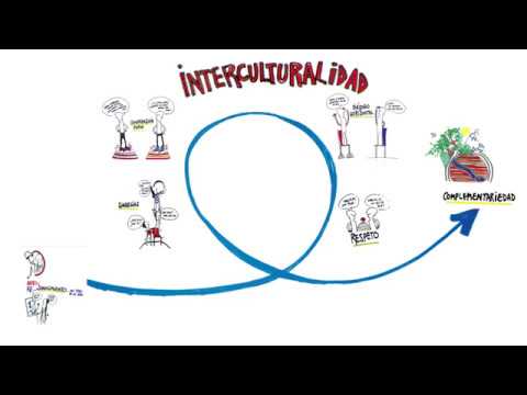 por que es importante la interculturalidad