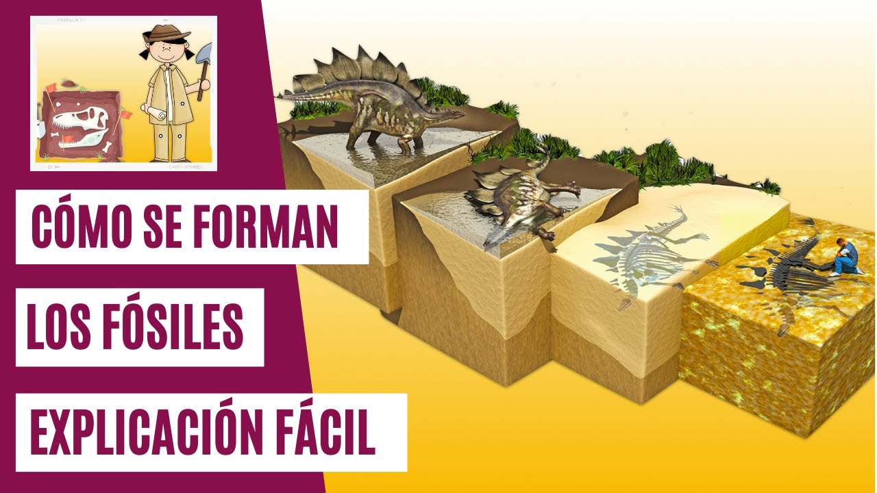 proceso de fosilización de un dinosaurio