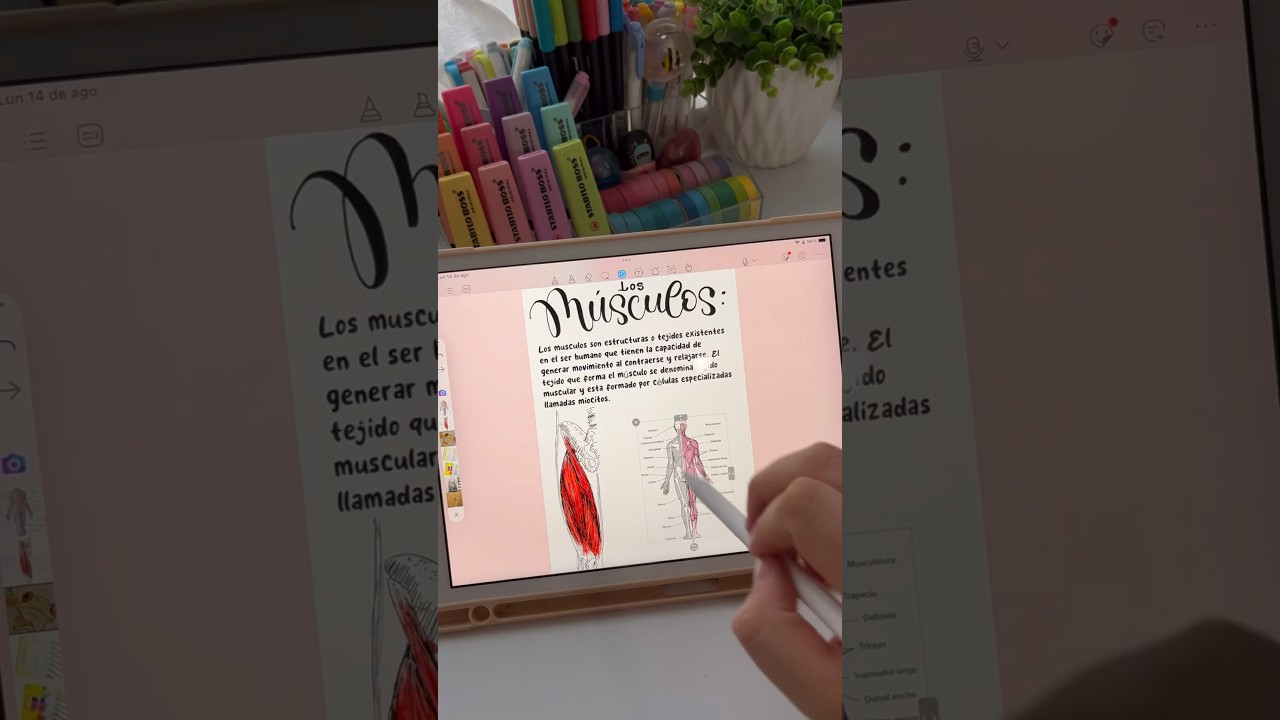 propositos para el regreso a clases