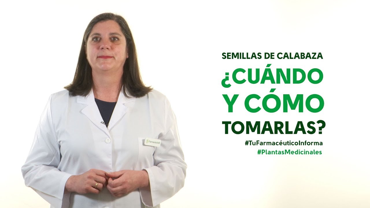 semilla oleaginosa que se come cruda o cocida