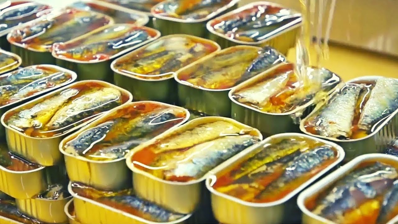 variedad de sardinas que se pescan en perú
