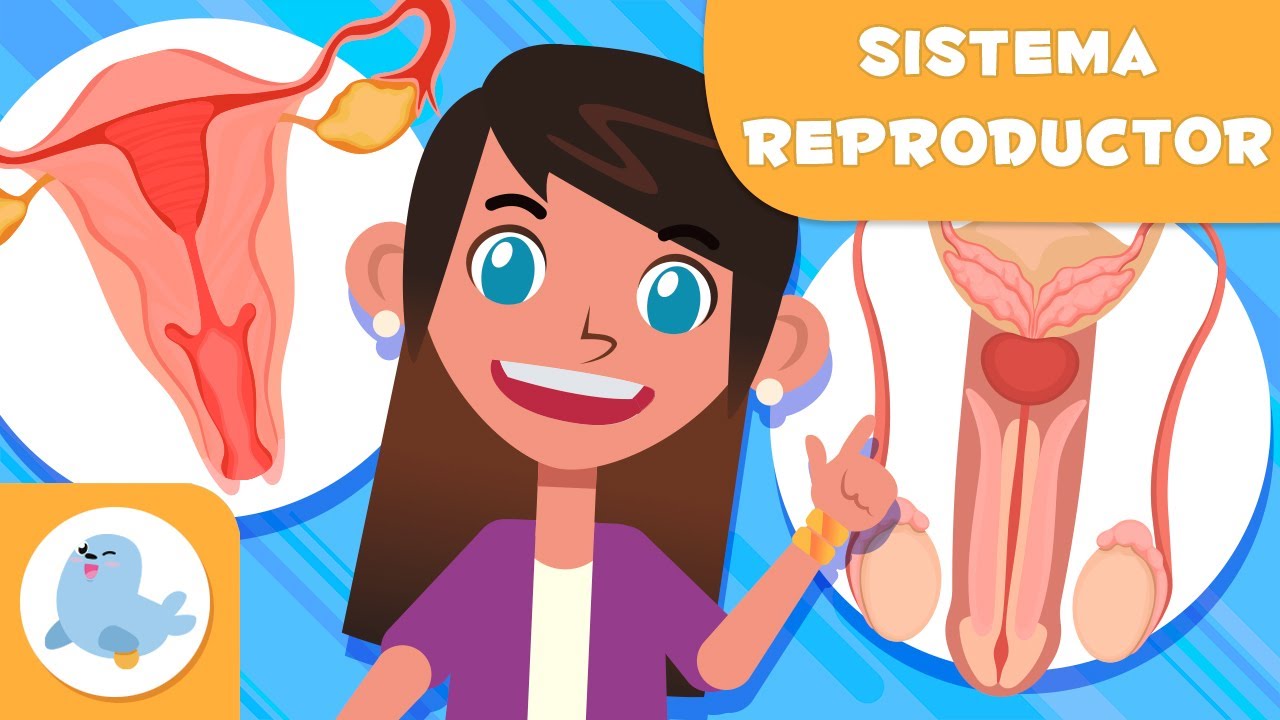 5 medidas de higiene del sistema reproductor femenino