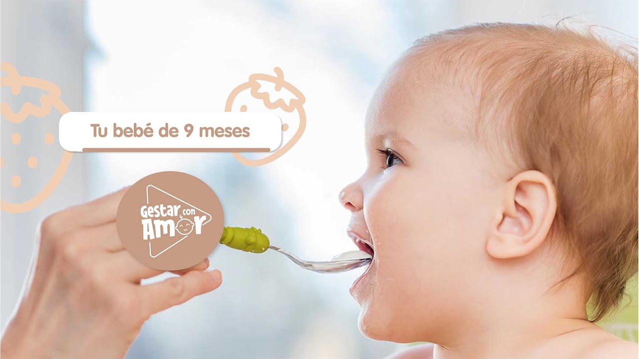 9 mes alimentacion menu para bebe de 9 meses