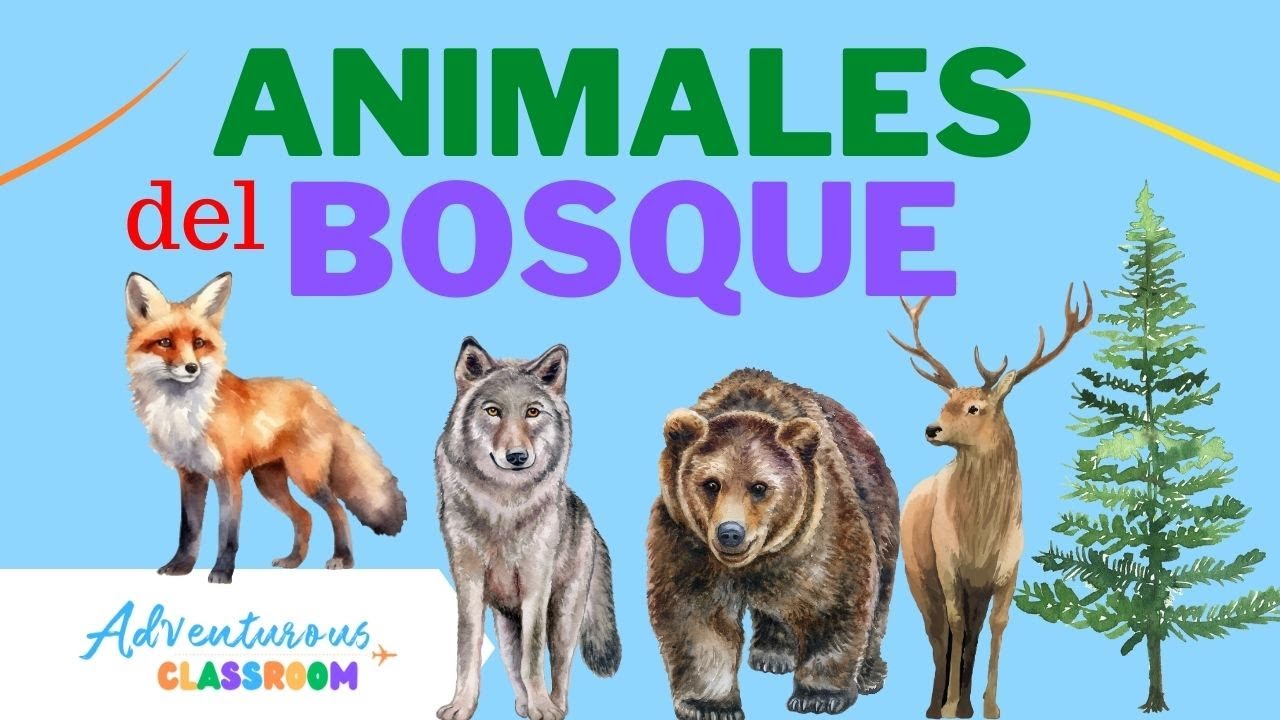 actividades de animales del bosque para preescolar