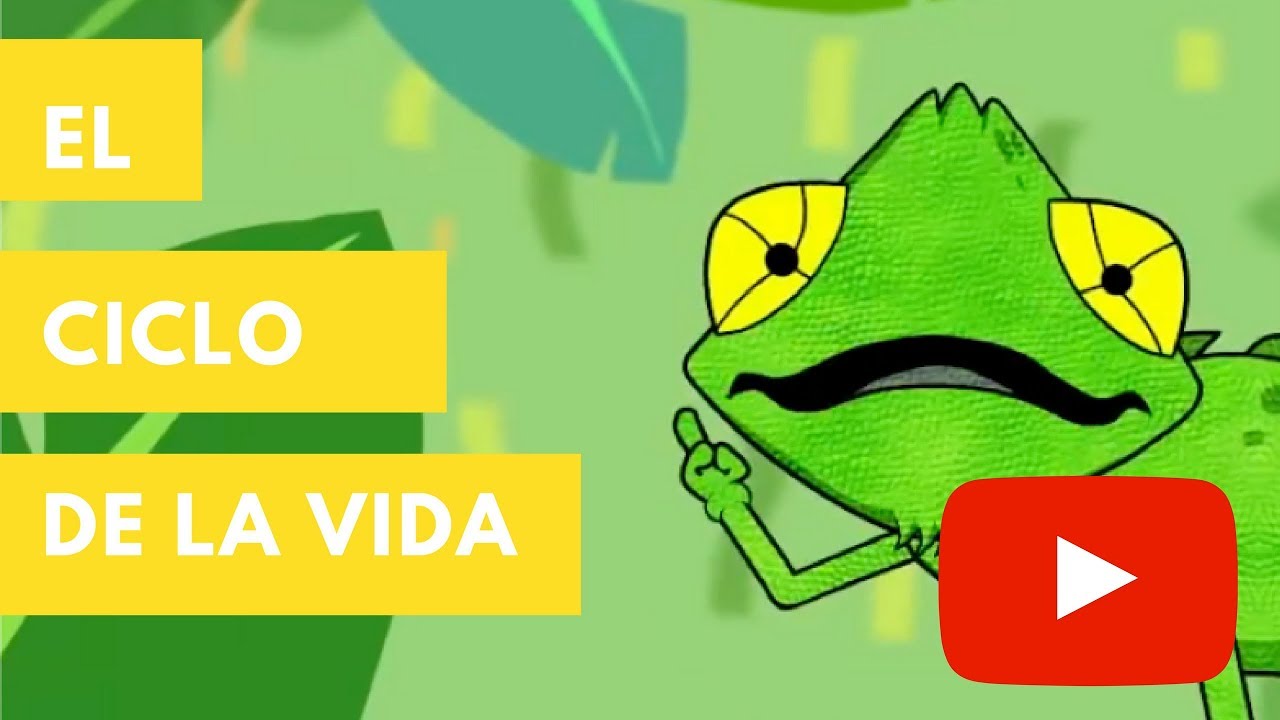 actividades del ciclo de la vida para niños