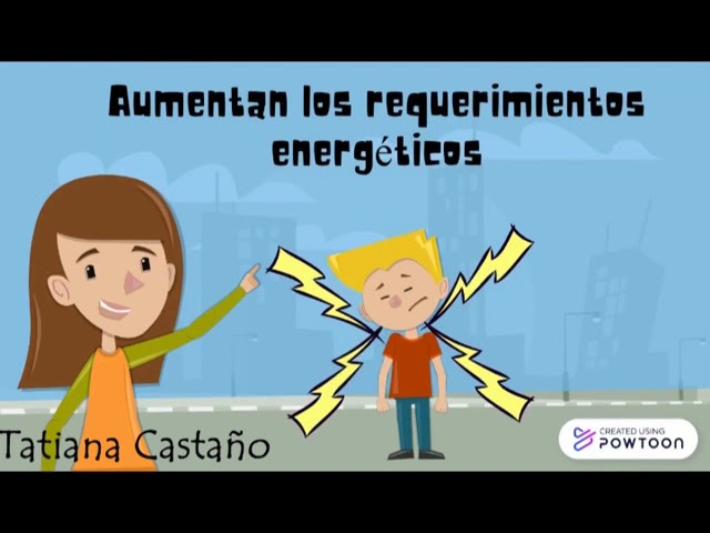 alimentacion en las diferentes etapas de la vida