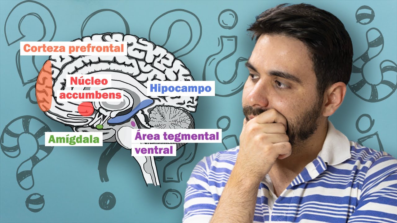 como activar el sistema de recompensa cerebral