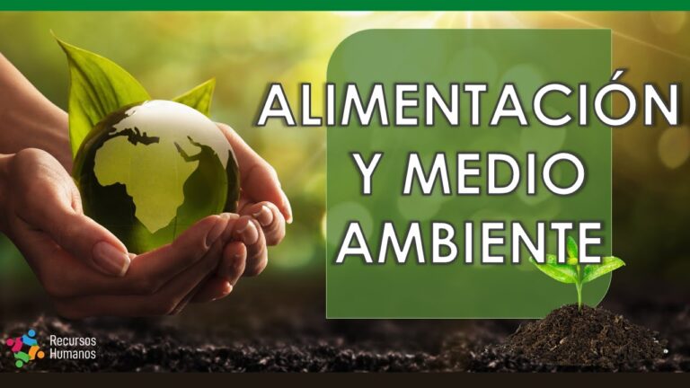 Cómo Beneficia El Cuidado Del Medio Ambiente Comer Alimentos Frescos