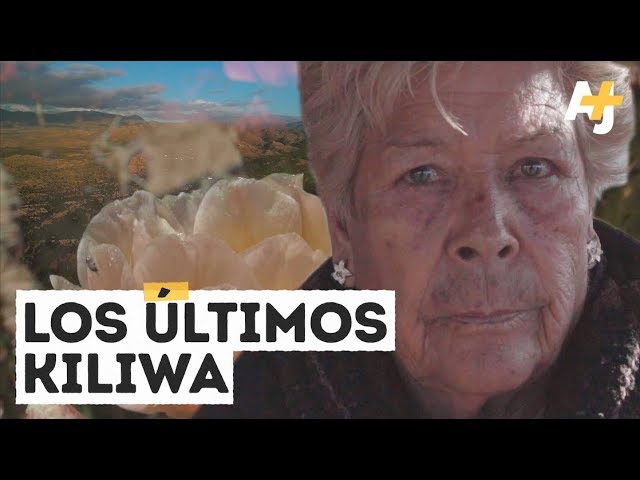 como se dice bienvenido en kiliwa