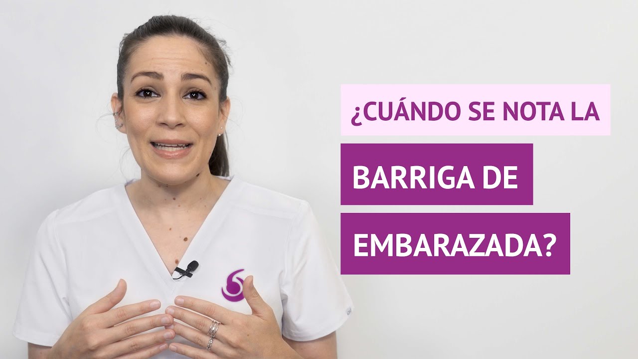 como se ve la panza de una embarazada