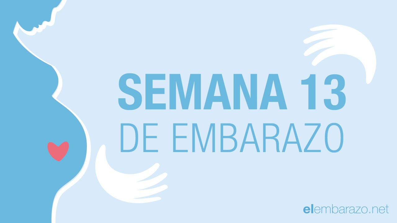 cuanto debe pesar un bebe de 13 semanas