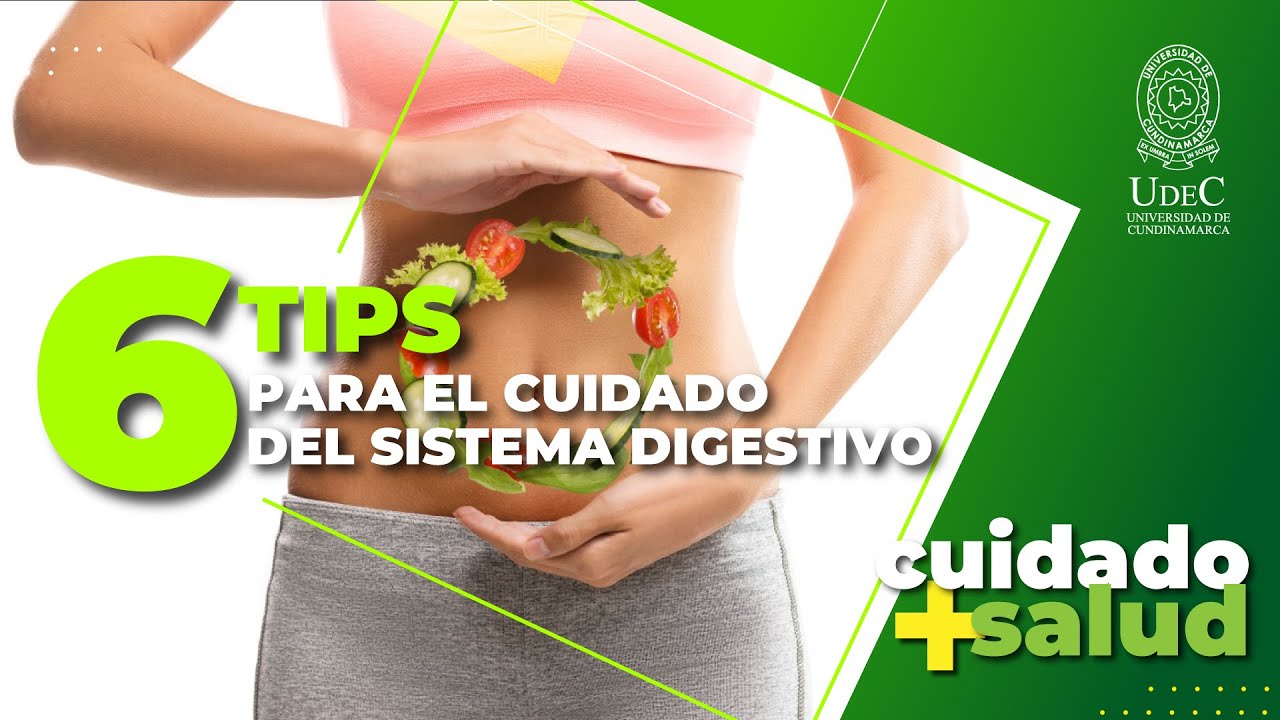 cuatro acciones para mantener nuestro sistema digestivo sano
