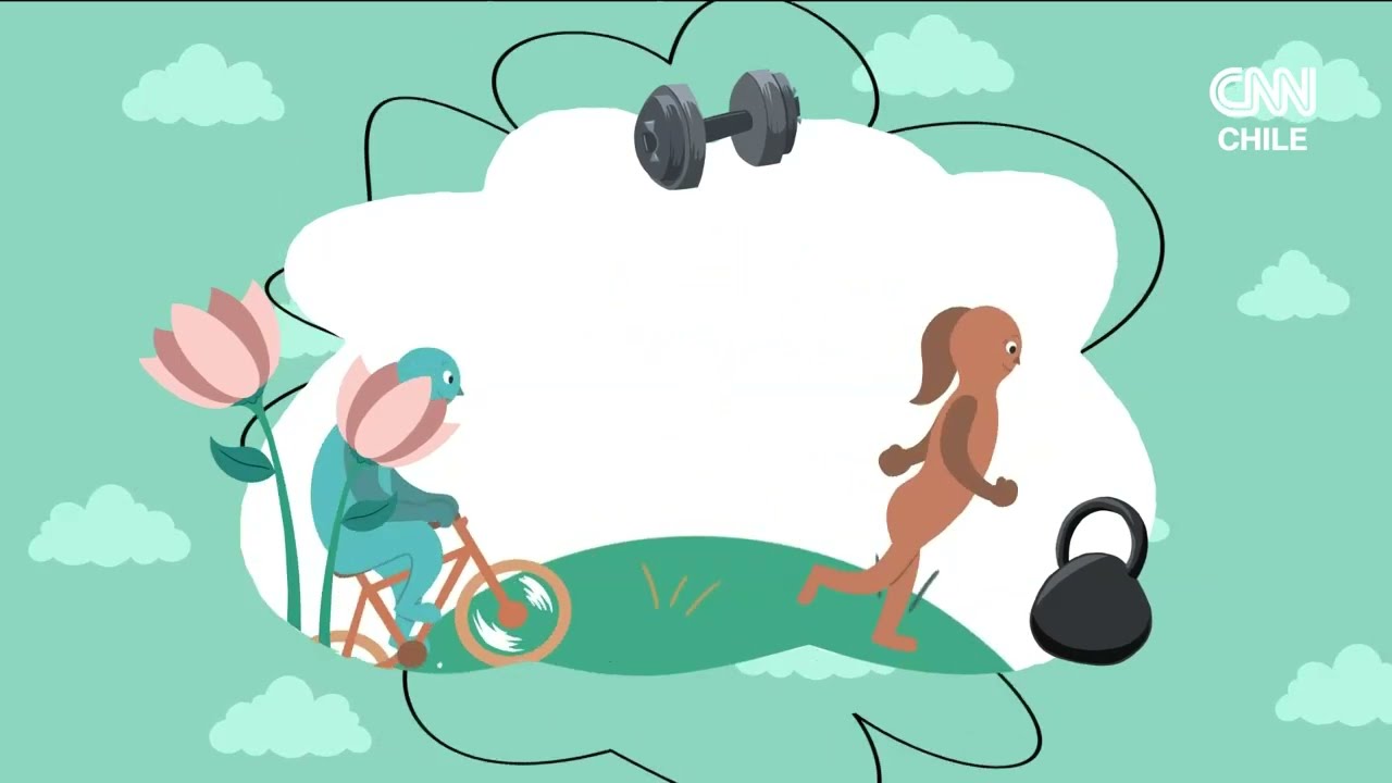 el deporte educativo como formular estrategias