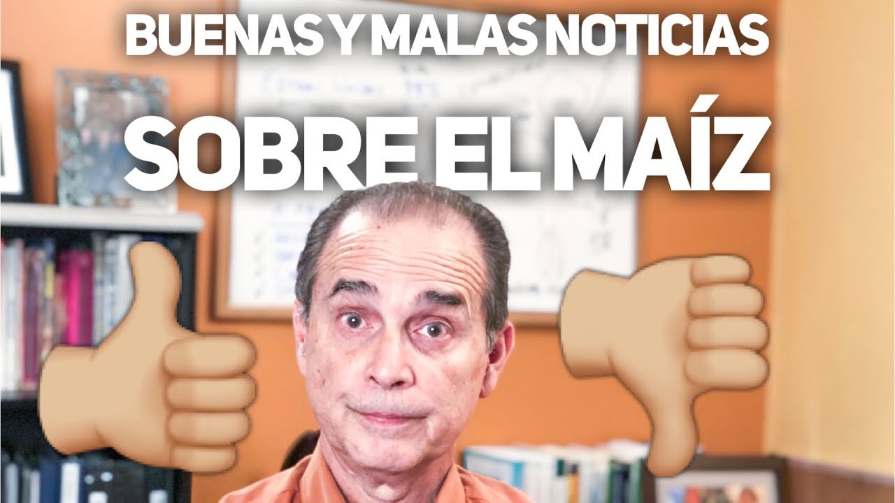 el maiz tostado sin aceite engorda