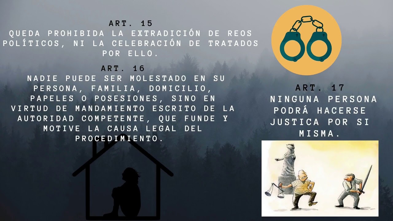 ensayo de los articulos 1 al 29