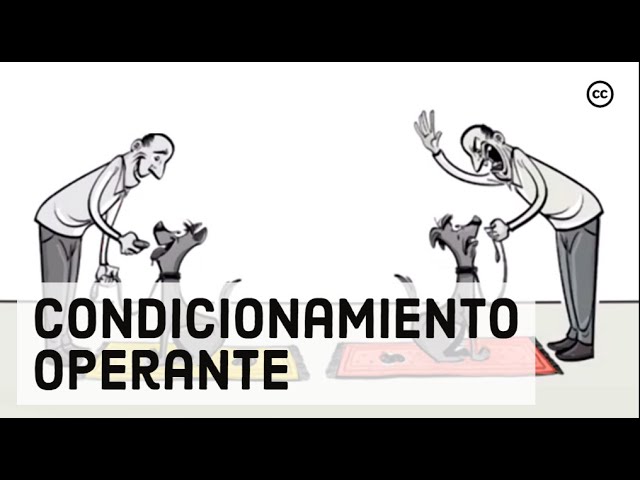 fundamento o apoyo principal de algo