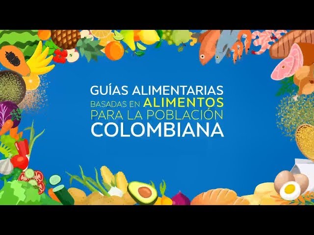guias de alimentacion en el mundo