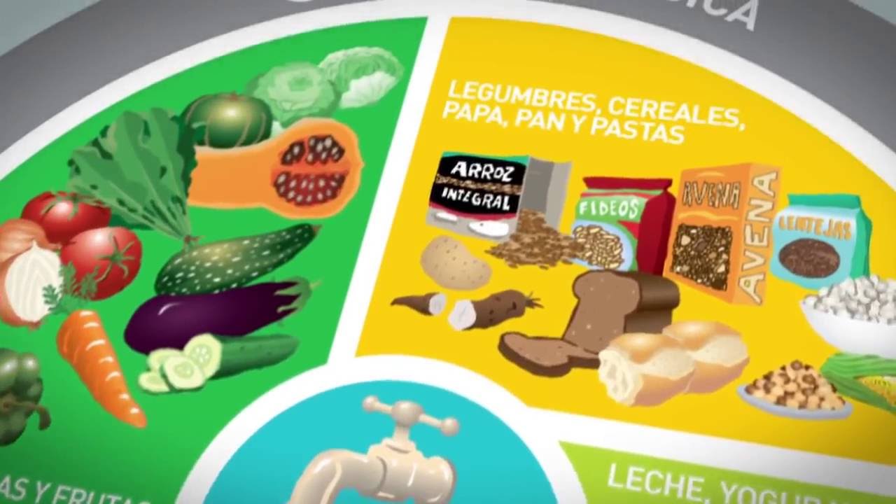 guias de alimentacion saludable para la poblacion argentina