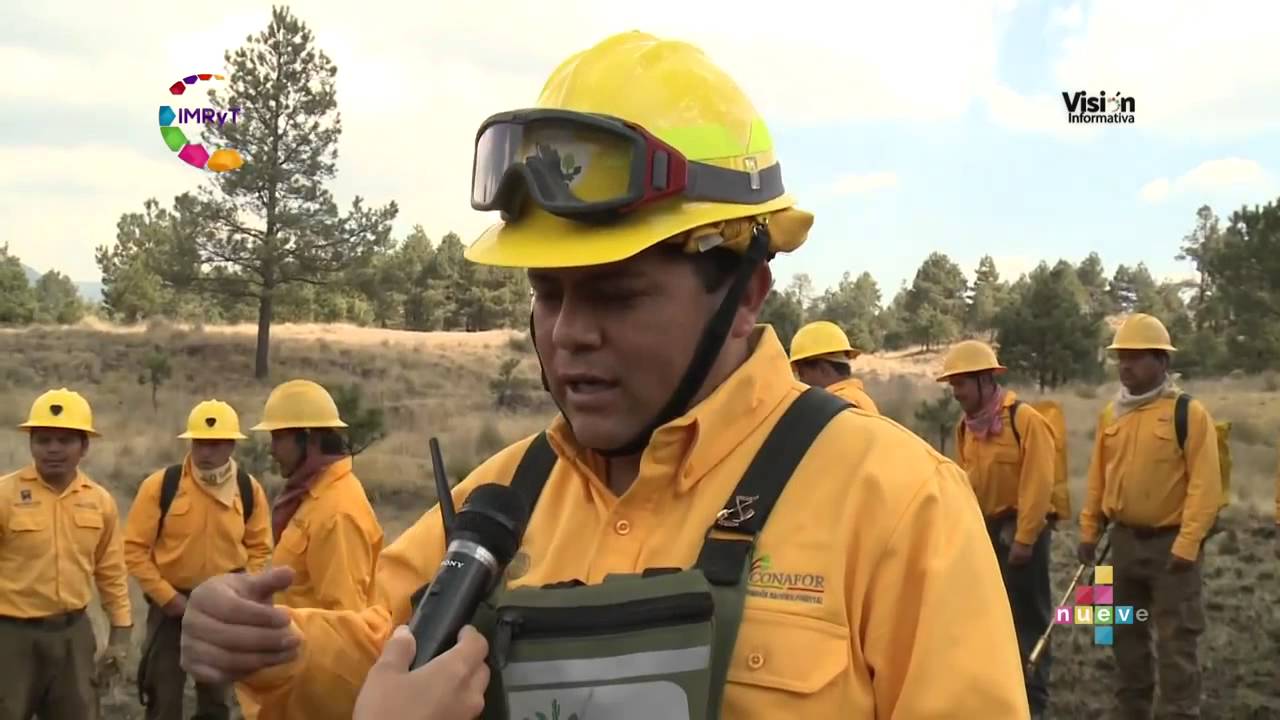 incendios forestales guia practica para comunicadores
