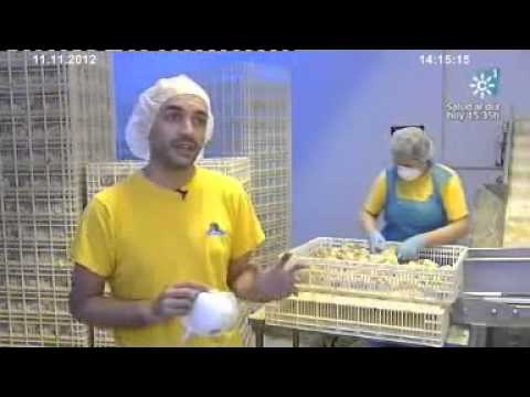 la granja de juan produjo 945 huevos