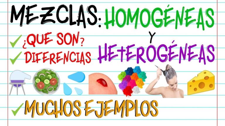 Las Frutas Son Cuerpos Homogéneos O Heterogéneos