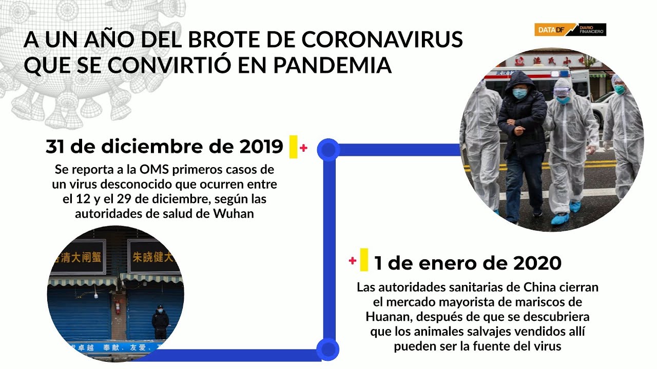 linea del tiempo del covid 19