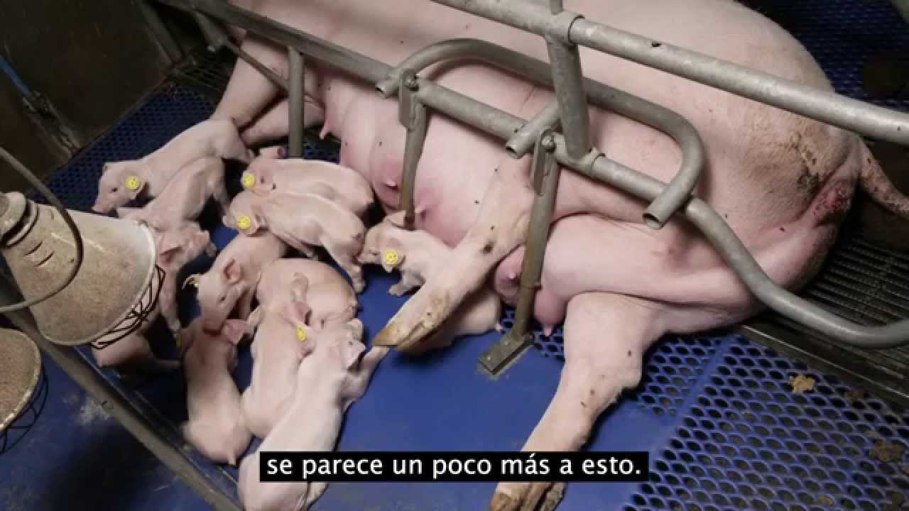 los secretos del marketing de alimentos