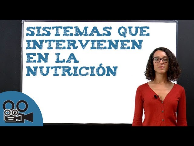 los sistemas involucrados en la nutricion