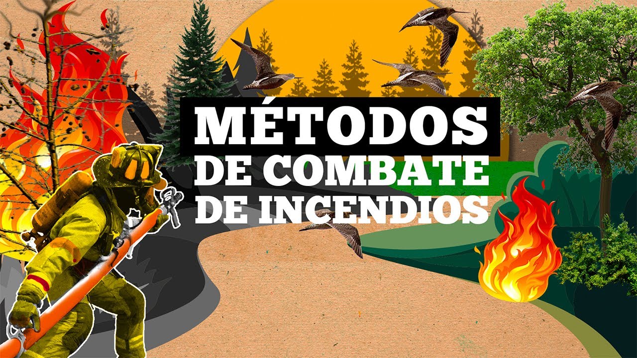 manual para el control de incendios forestales