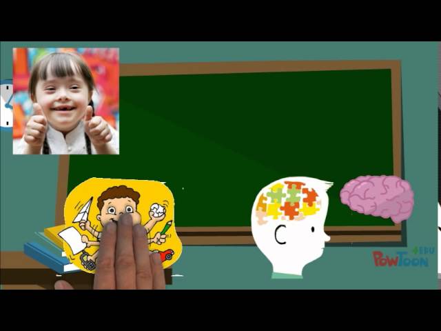 principio de sectorizacion en educacion especial